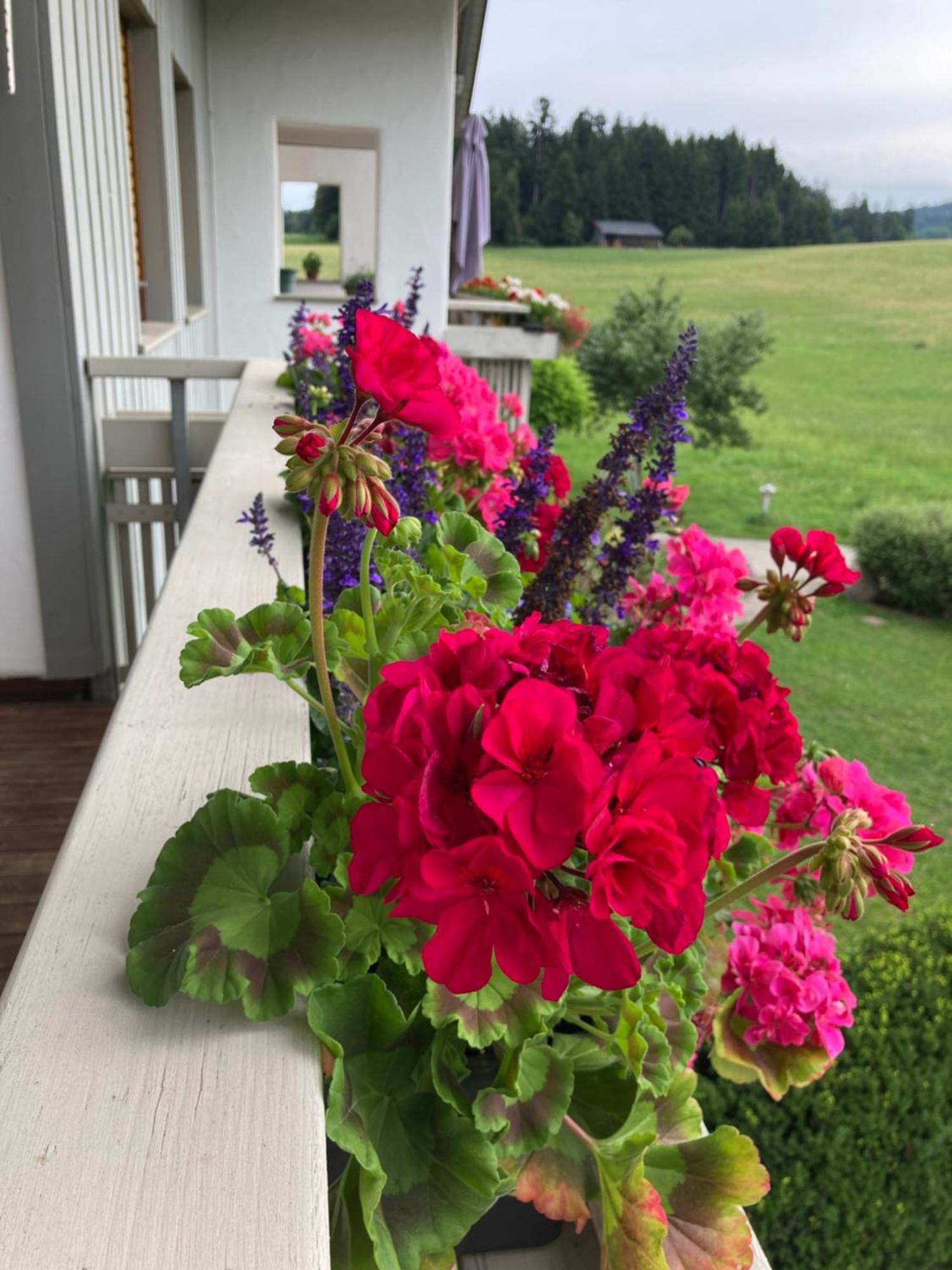 Ferienwohnungen Allgaeu-Bodensee 西格马尔斯策尔 外观 照片